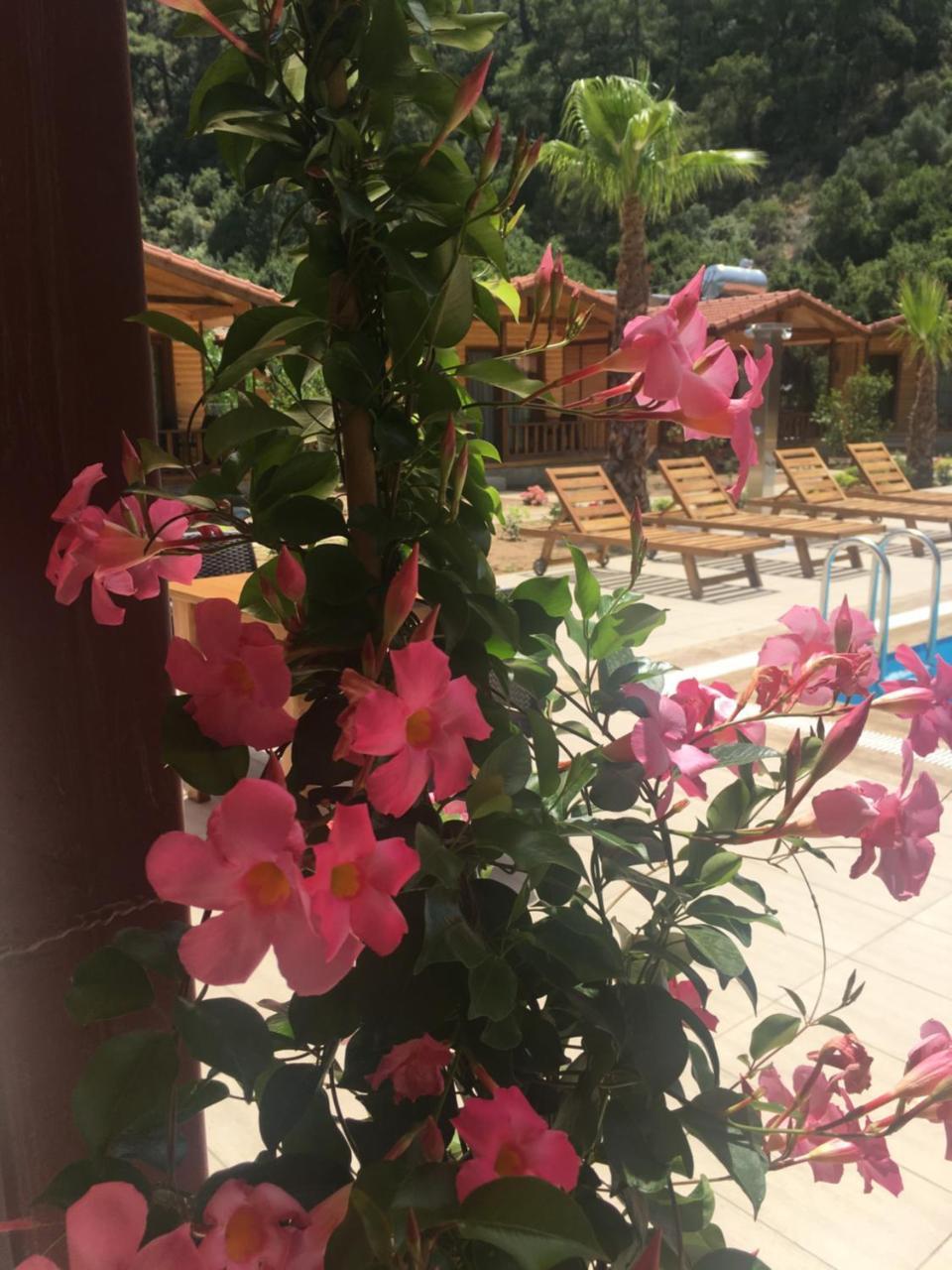 Dolunay Apart Hotel Çıralı Zewnętrze zdjęcie